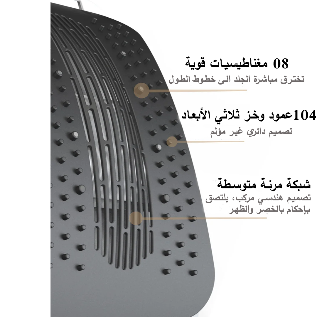 BACK STRETCHER+ 2025