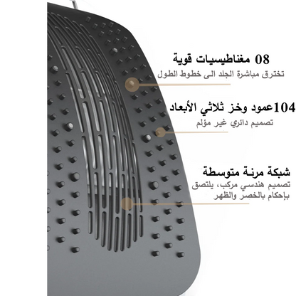 BACK STRETCHER+ 2025